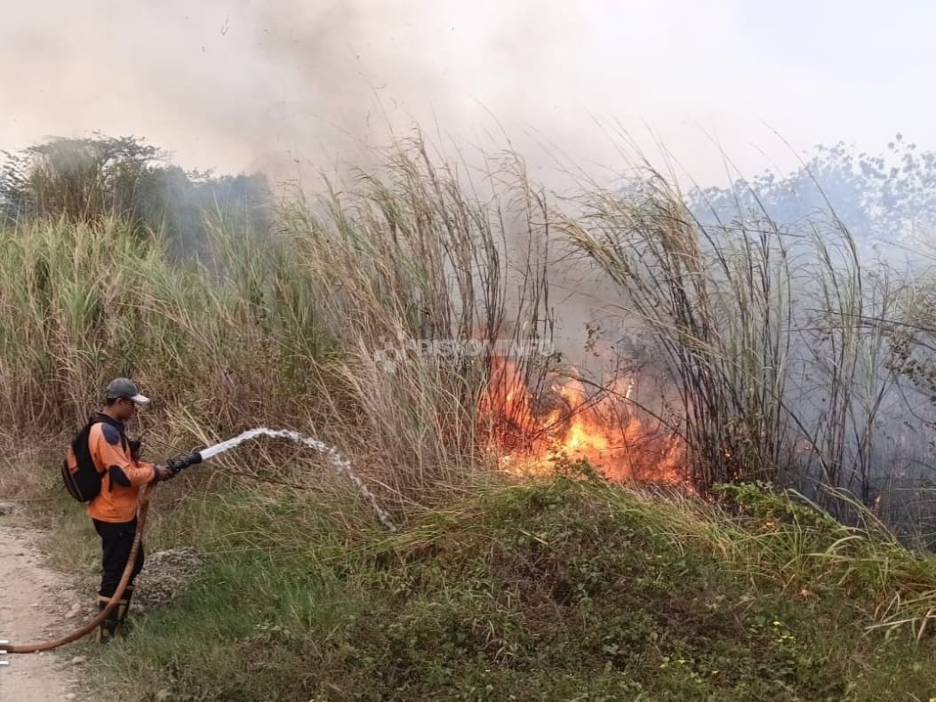 BPBD Majalengka Catat Karhutla Capai 10,85 Hektare dalam Sepekan, Masyarakat Diminta Tingkatkan Kewaspadaan Selama Musim Kemarau